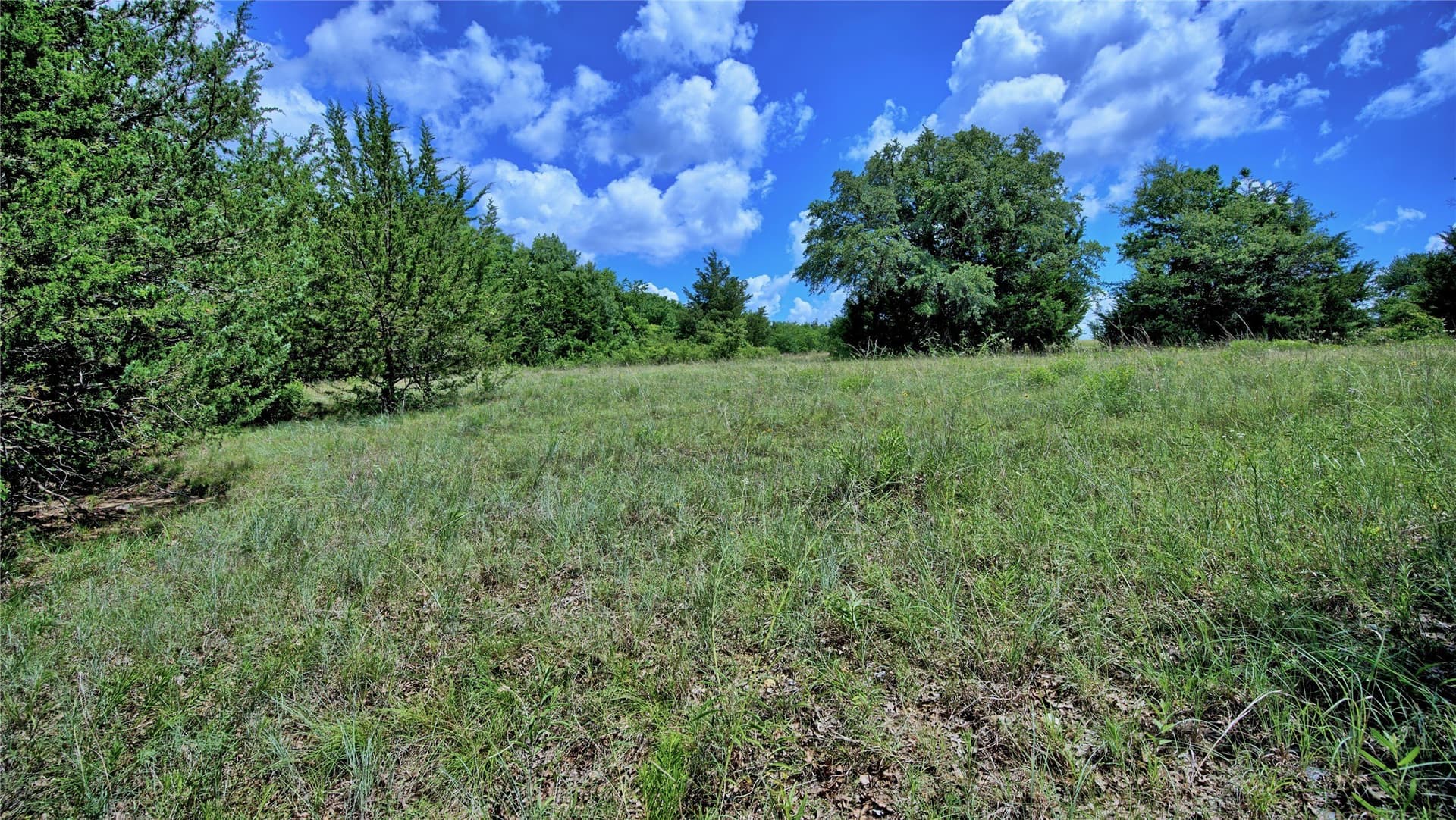 85.95 acres in Montague County - photo 10
