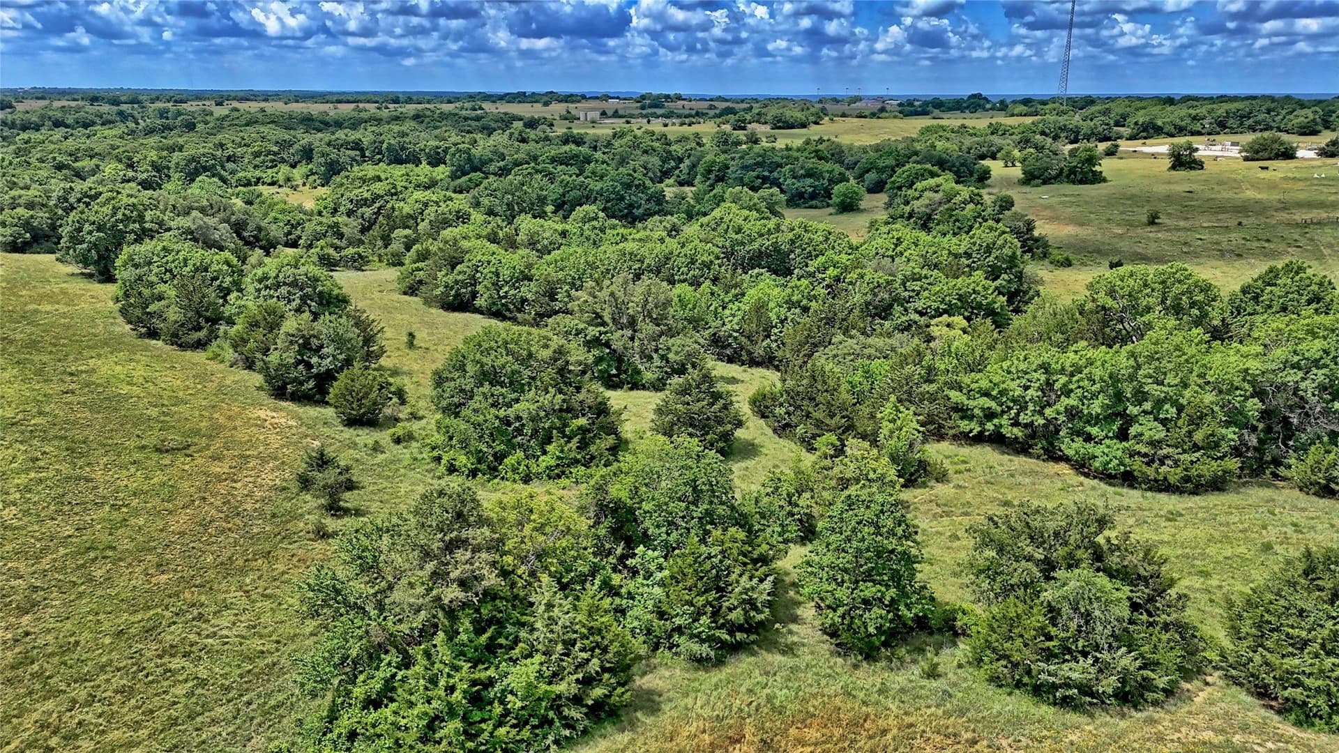 85.95 acres in Montague County - photo 22