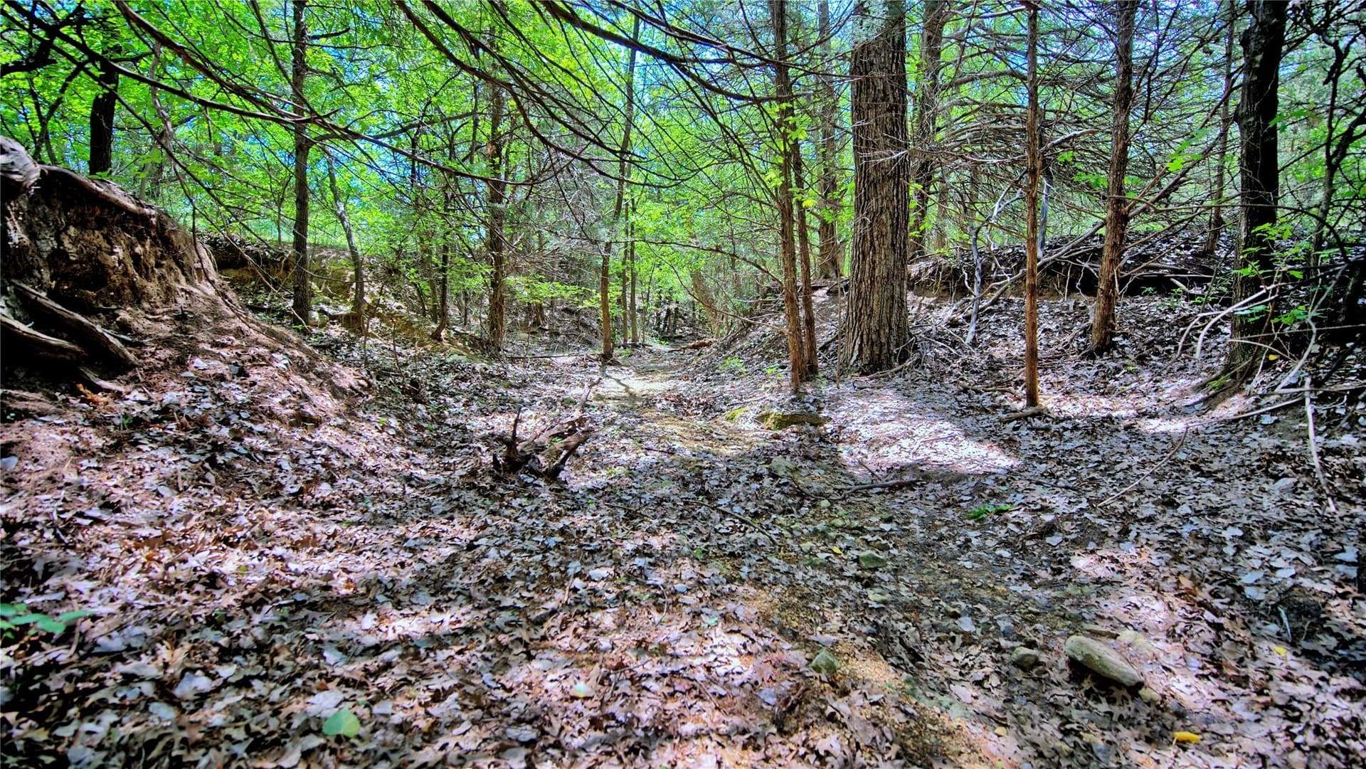85.95 acres in Montague County - photo 6