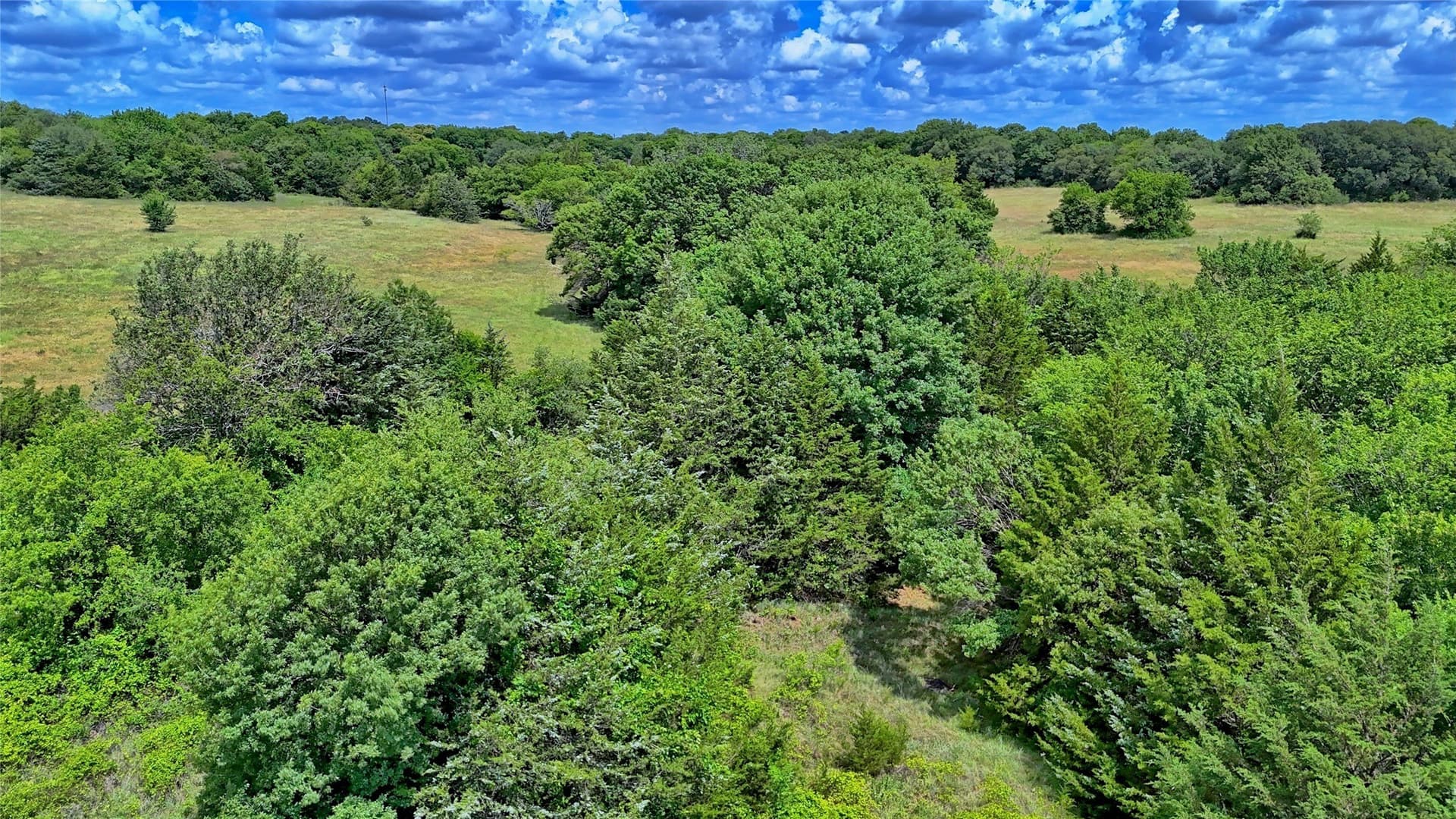 85.95 acres in Montague County - photo 24