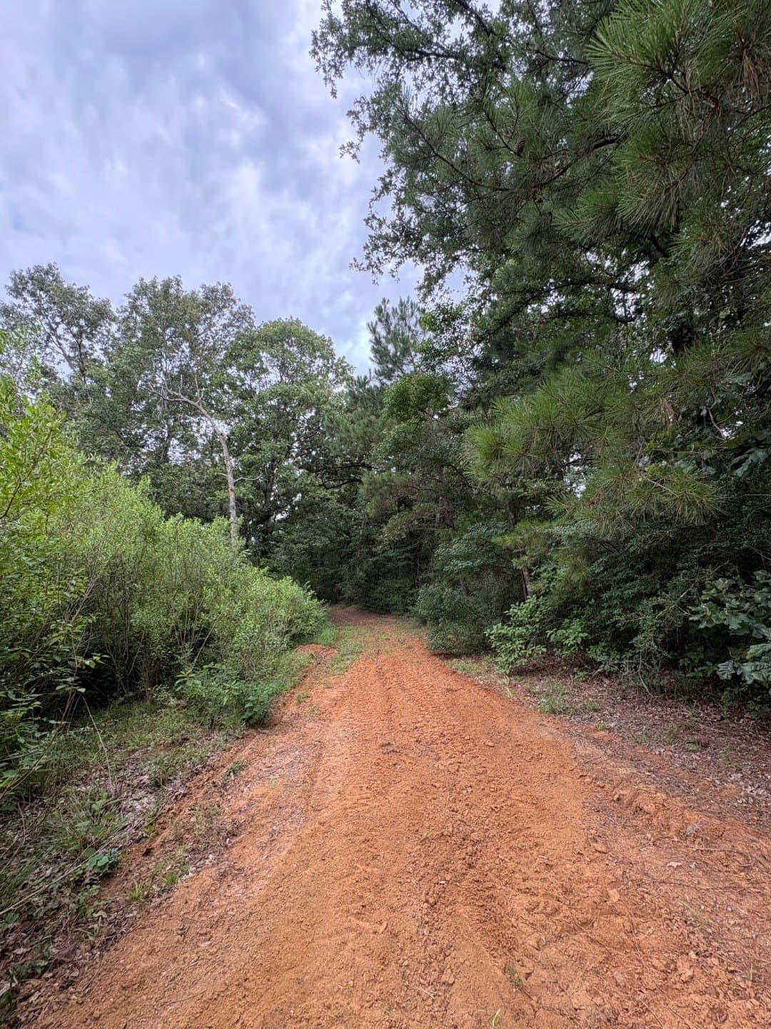 27.26 acres in Shelby County - photo 6