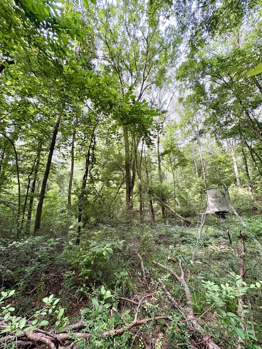 27.26 acres in Shelby County - photo 9