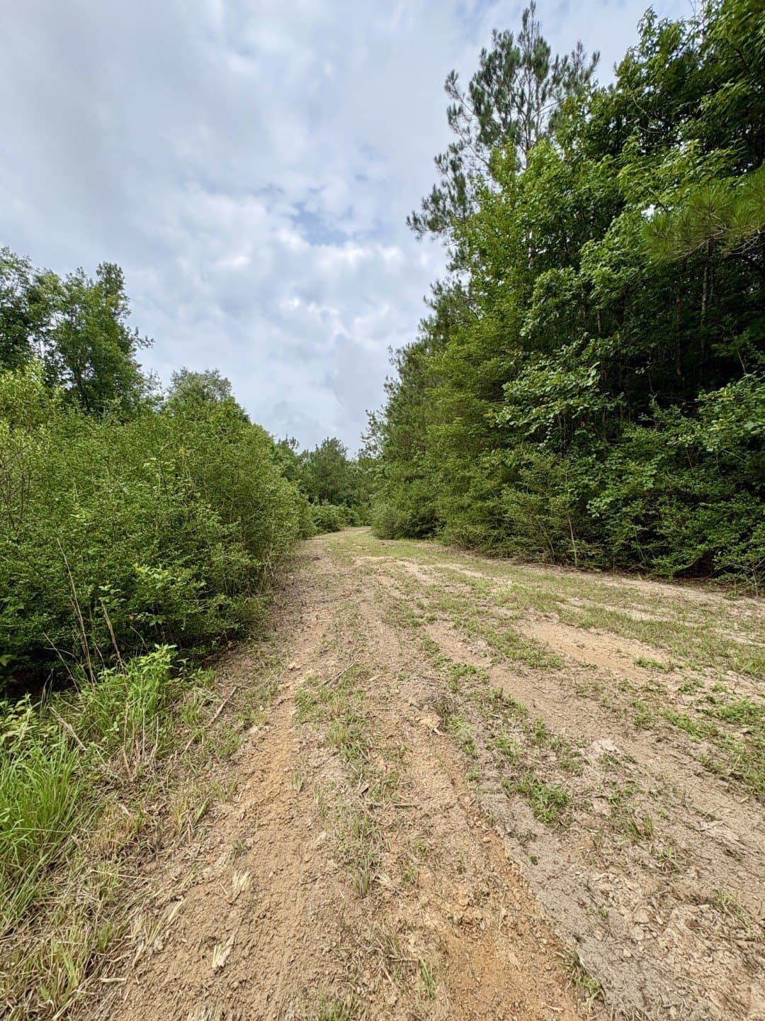 27.26 acres in Shelby County - photo 7