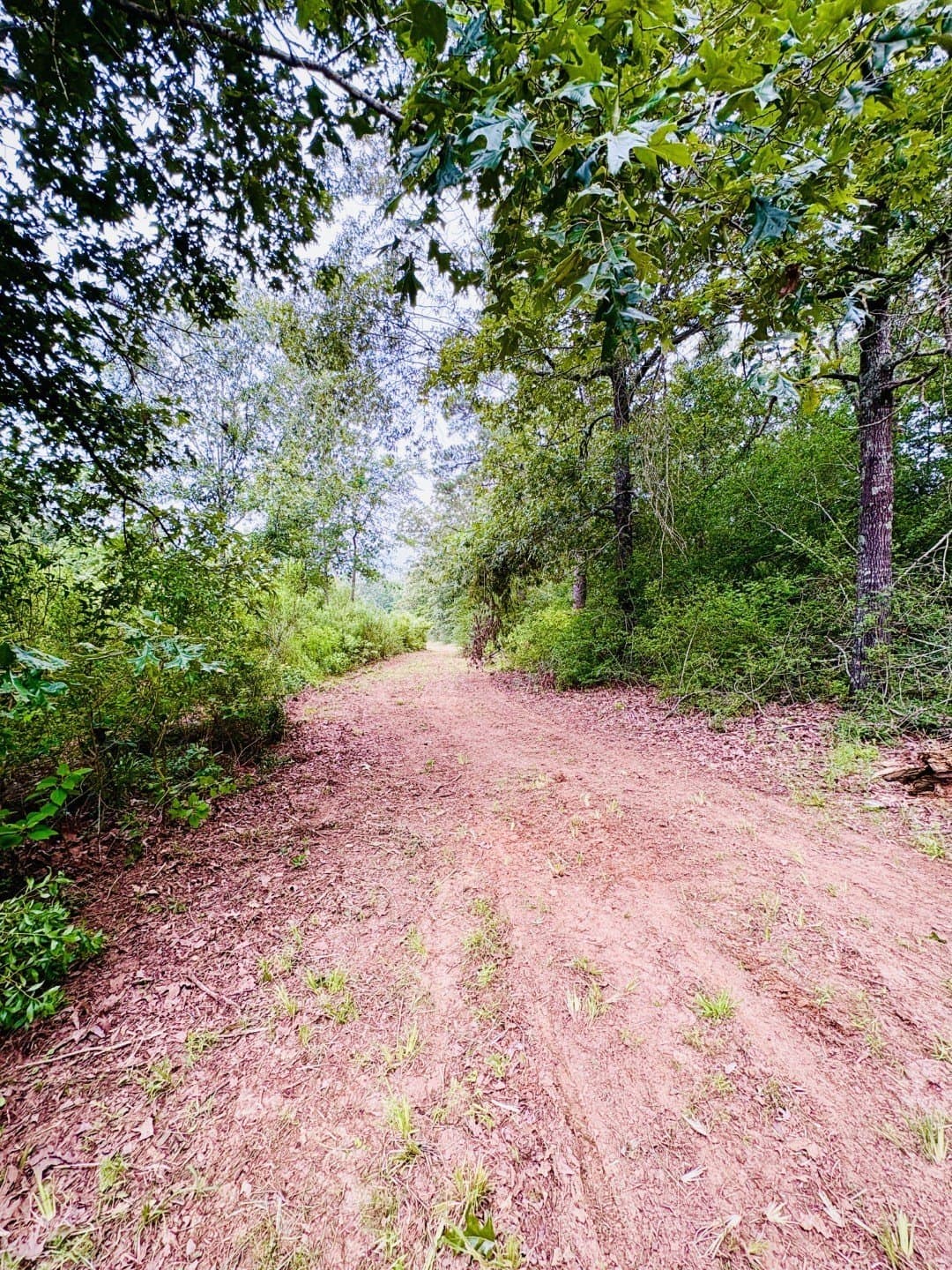 27.26 acres in Shelby County - photo 5