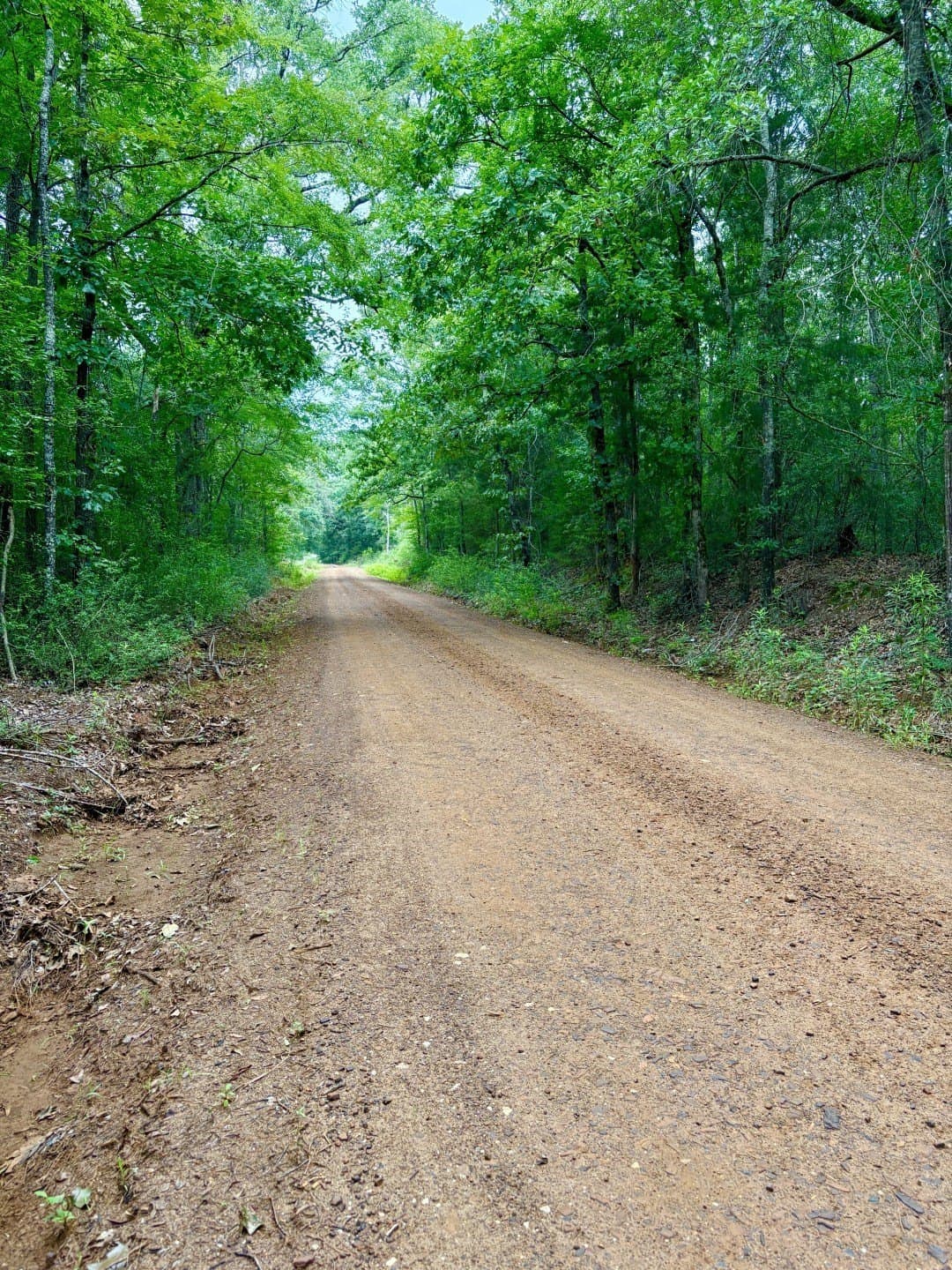27.26 acres in Shelby County - photo 4