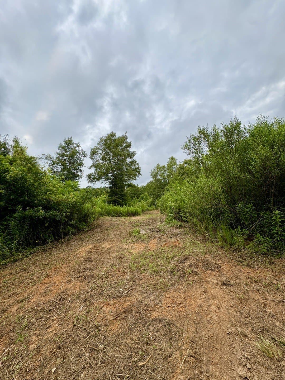 27.26 acres in Shelby County - photo 16