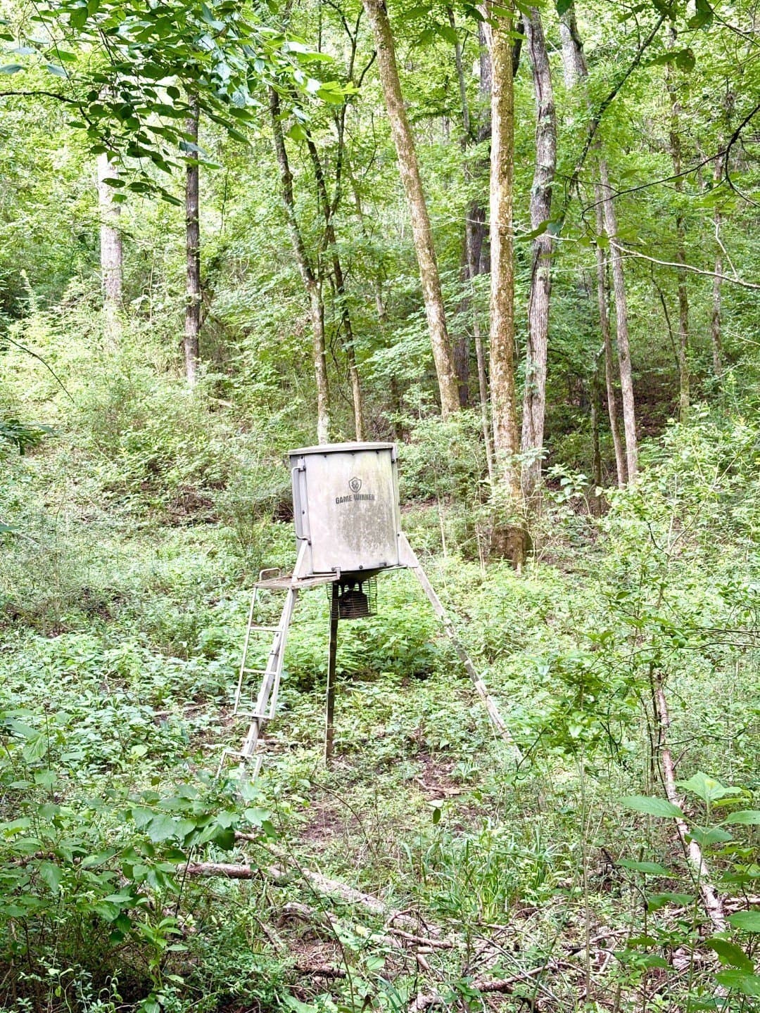 27.26 acres in Shelby County - photo 8