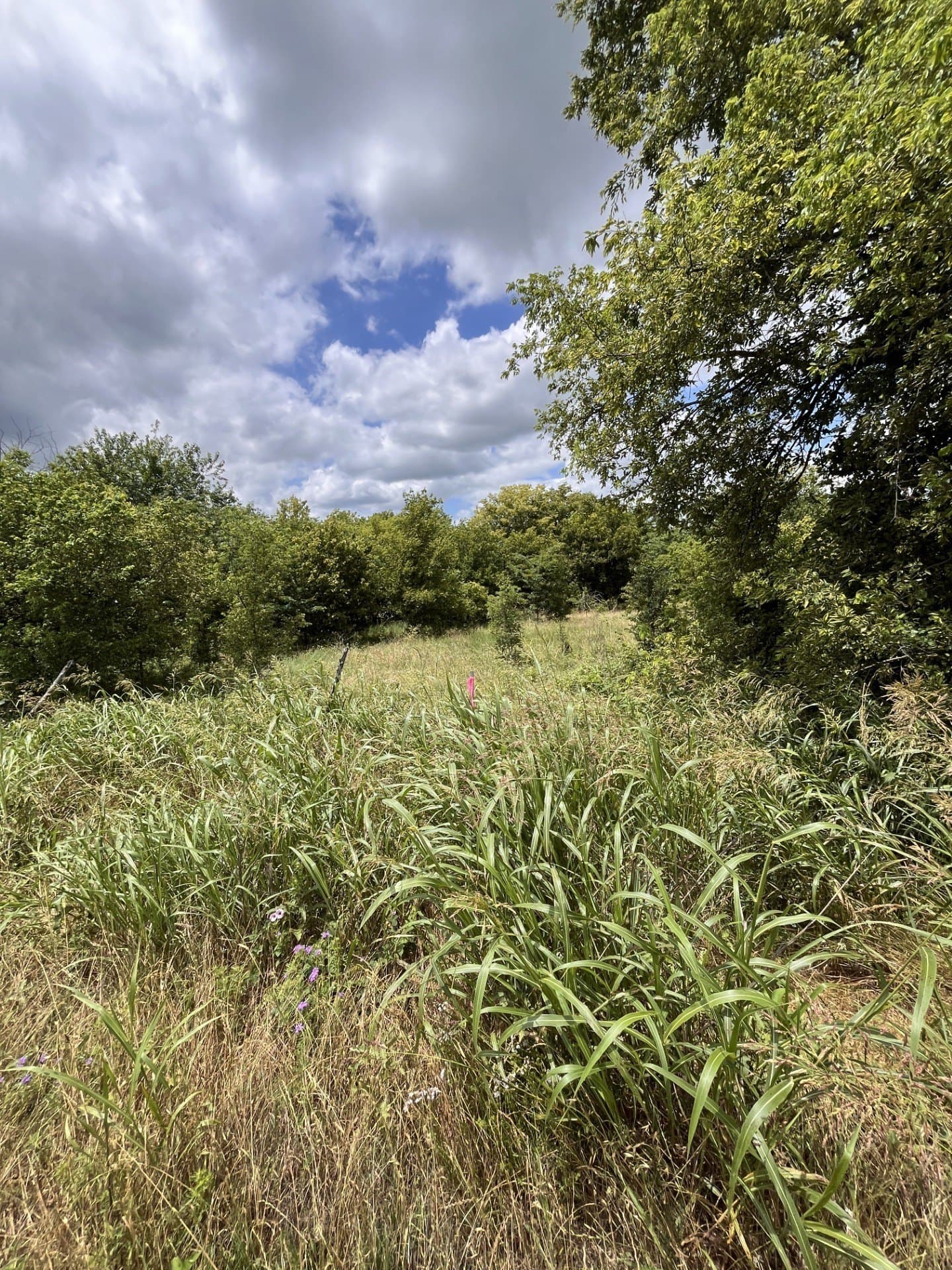 10.01 acres in Hill County gallery image 4