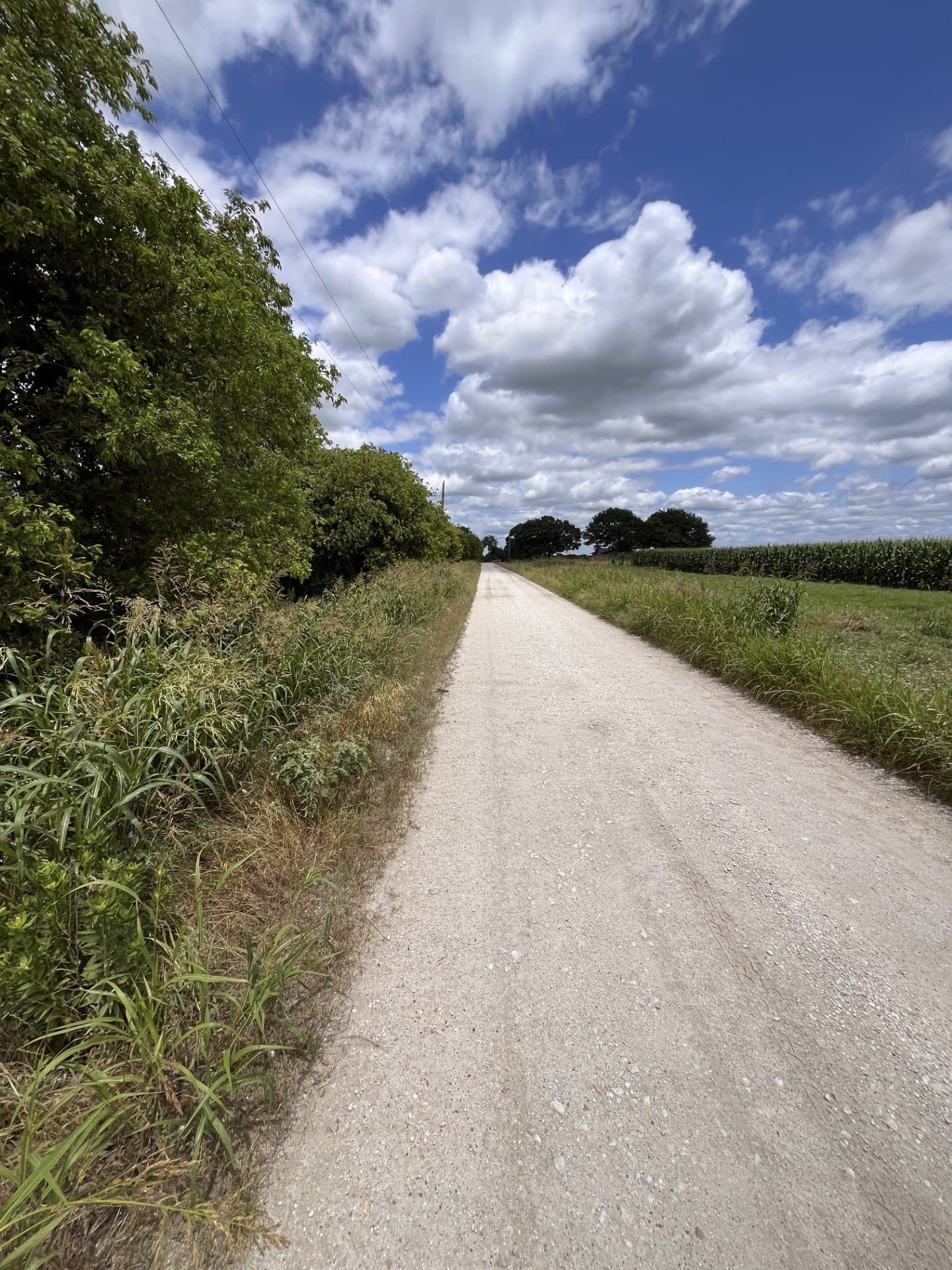 10.01 acres in Hill County gallery image 3