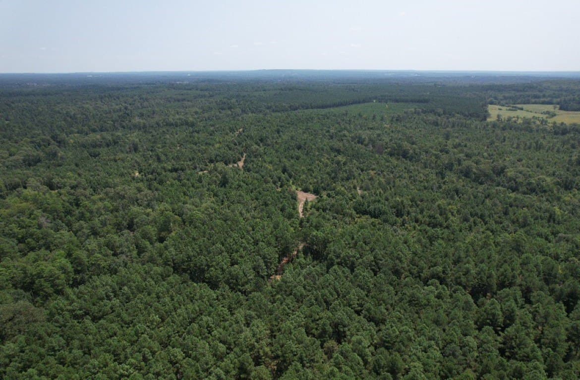 206 acres in Rusk County - photo 26