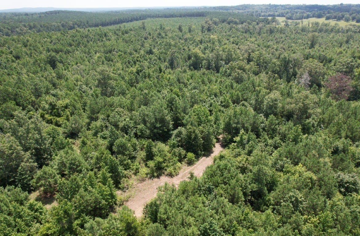 206 acres in Rusk County featured view