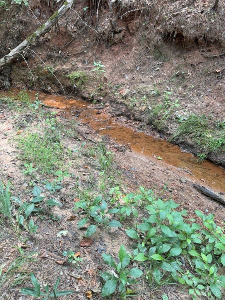 206 acres in Rusk County - photo 33