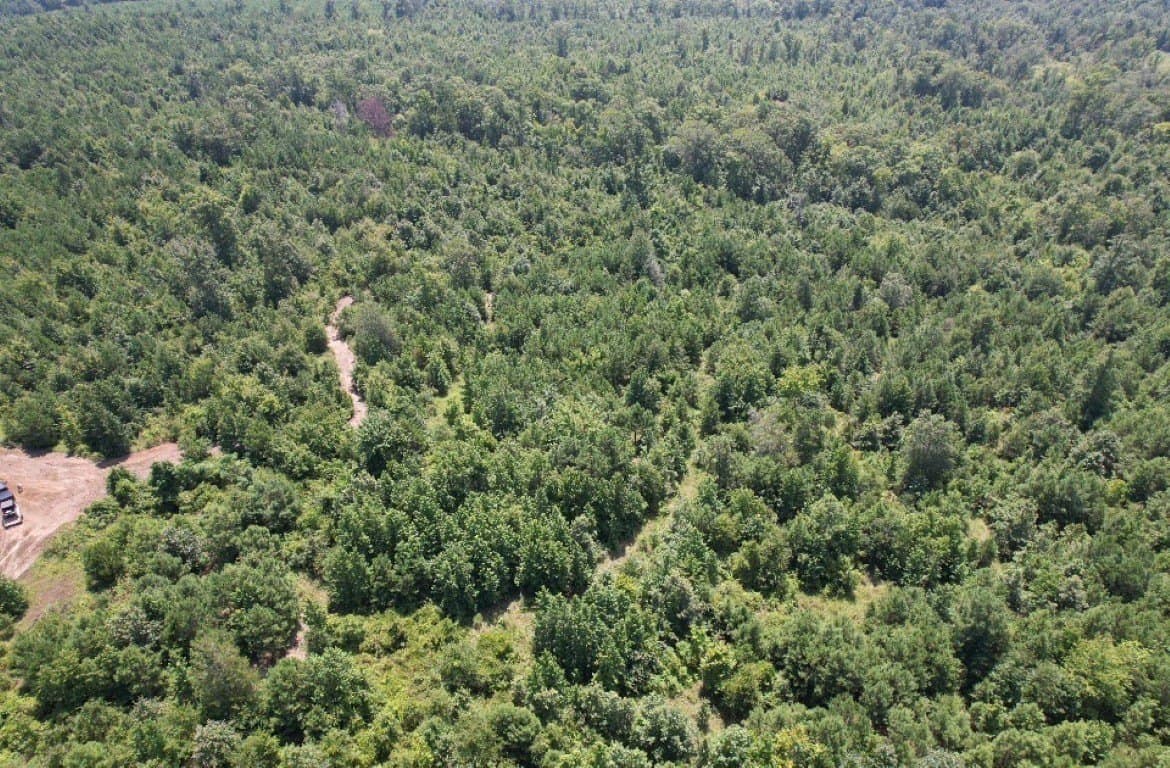 206 acres in Rusk County - photo 6