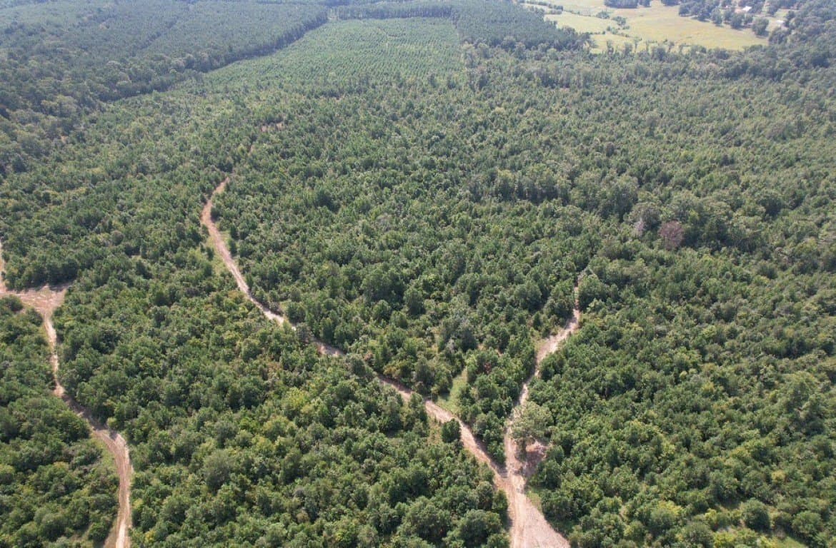 206 acres in Rusk County - photo 17