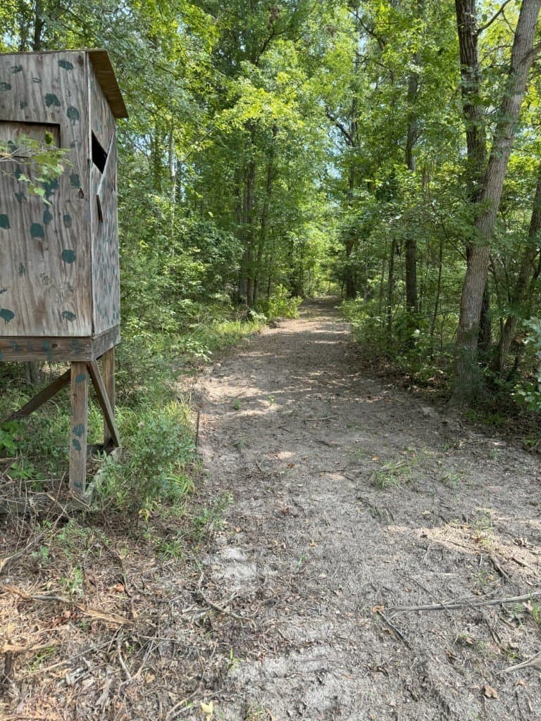 206 acres in Rusk County - photo 40