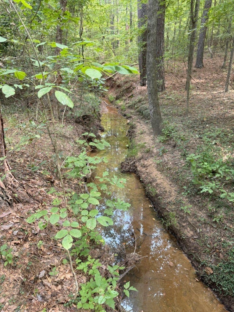 206 acres in Rusk County - photo 32