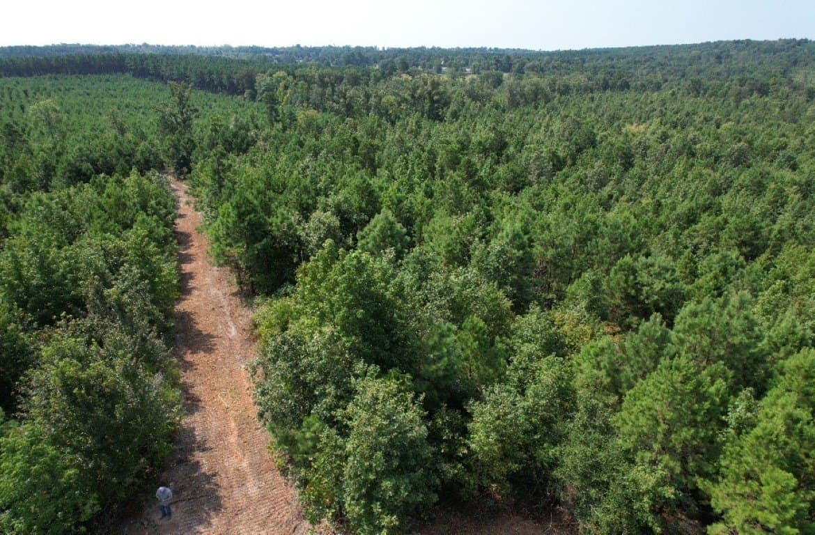 206 acres in Rusk County - photo 19
