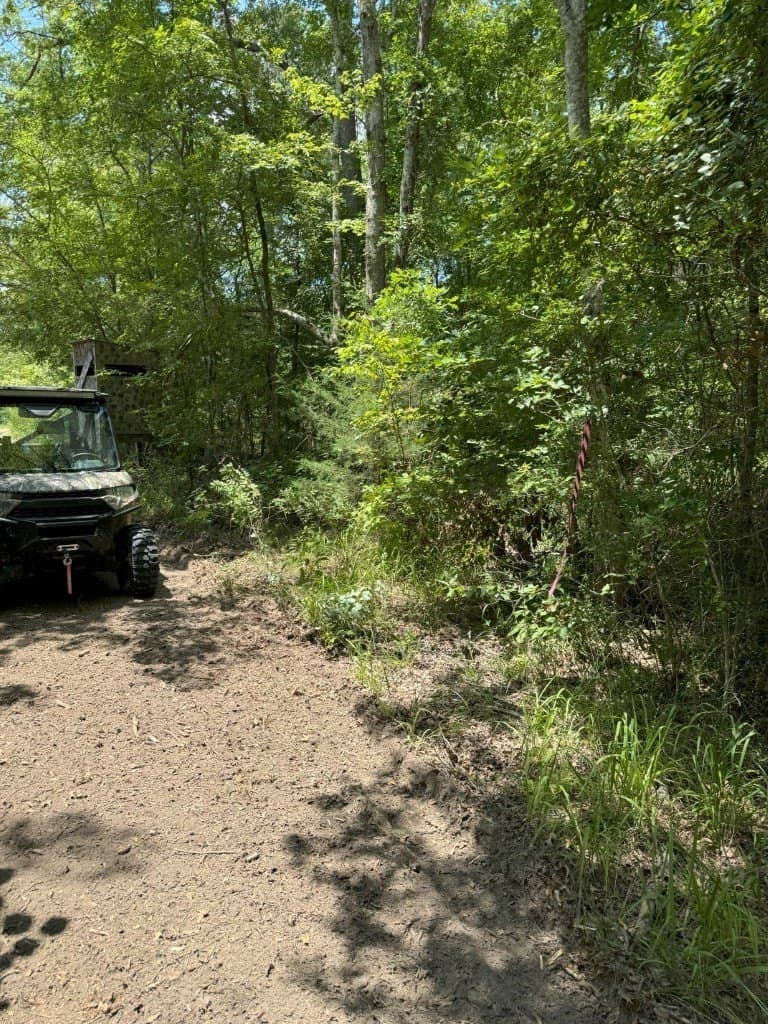 206 acres in Rusk County - photo 29