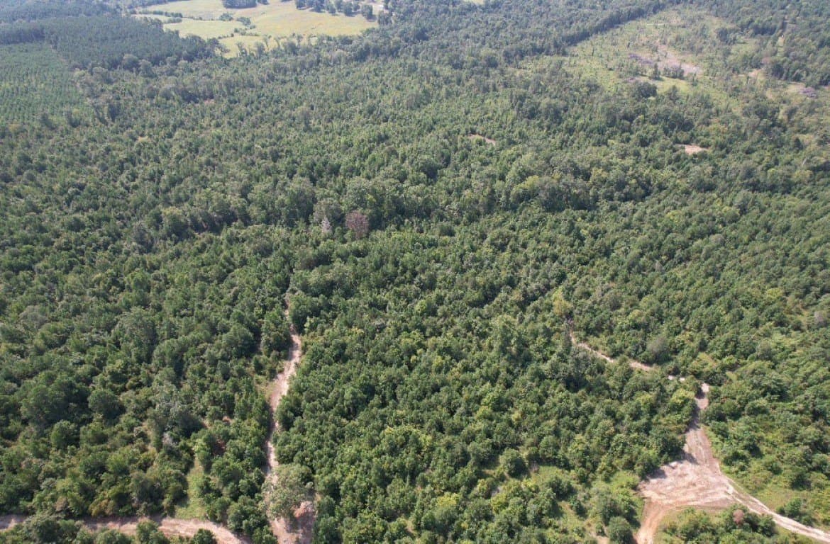 206 acres in Rusk County - photo 18