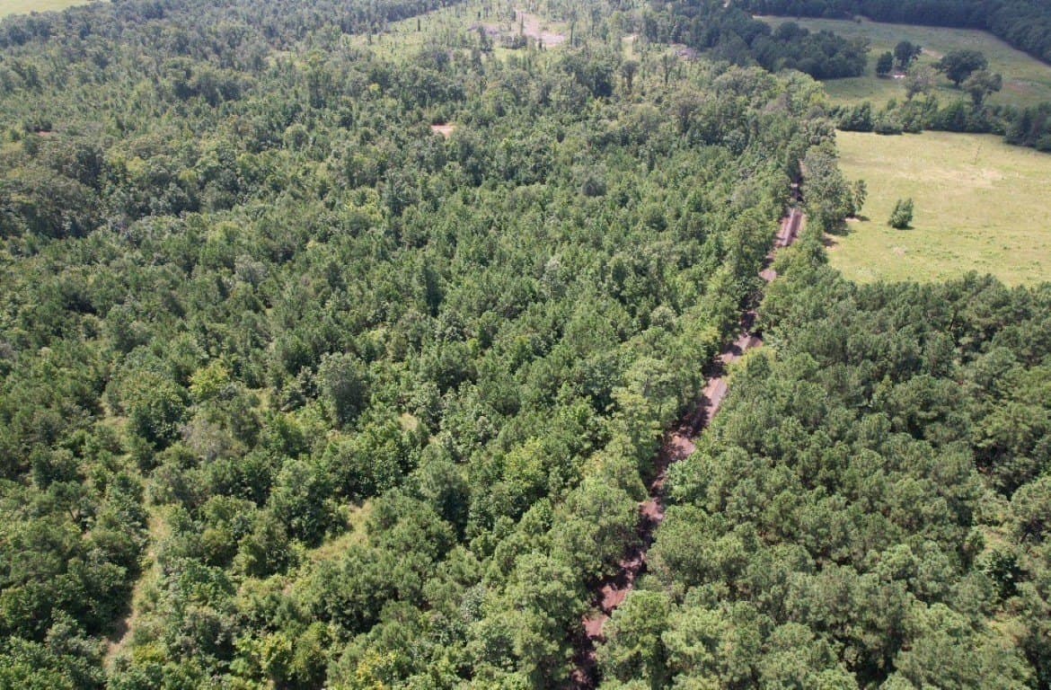 206 acres in Rusk County - photo 7