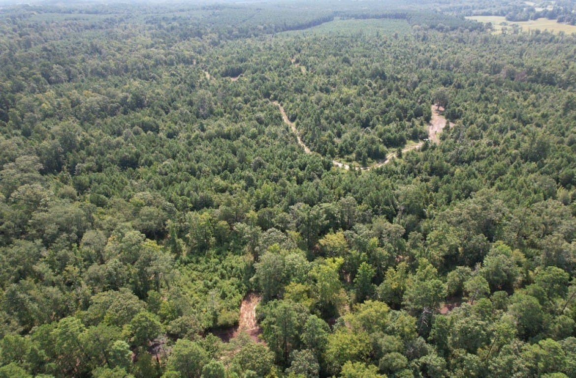 206 acres in Rusk County - photo 15