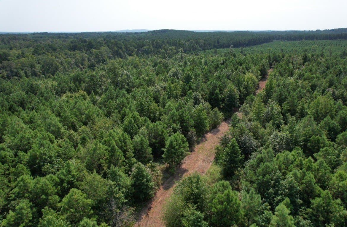 206 acres in Rusk County - photo 14