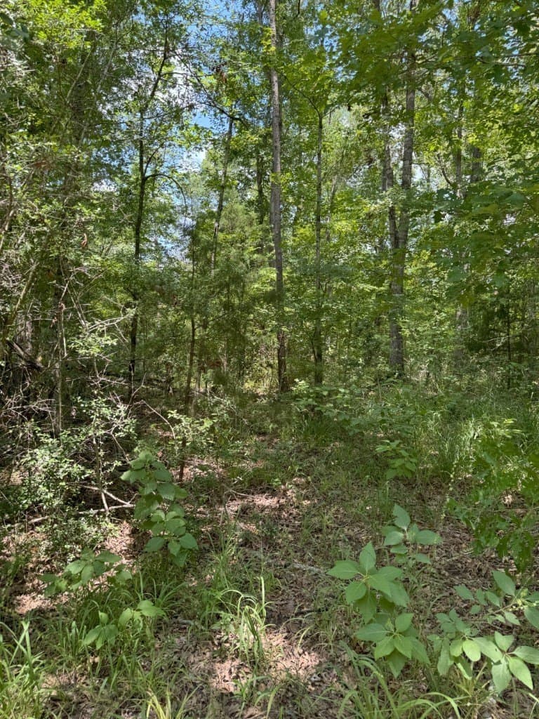 206 acres in Rusk County - photo 28