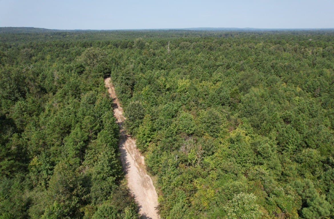 206 acres in Rusk County - photo 13