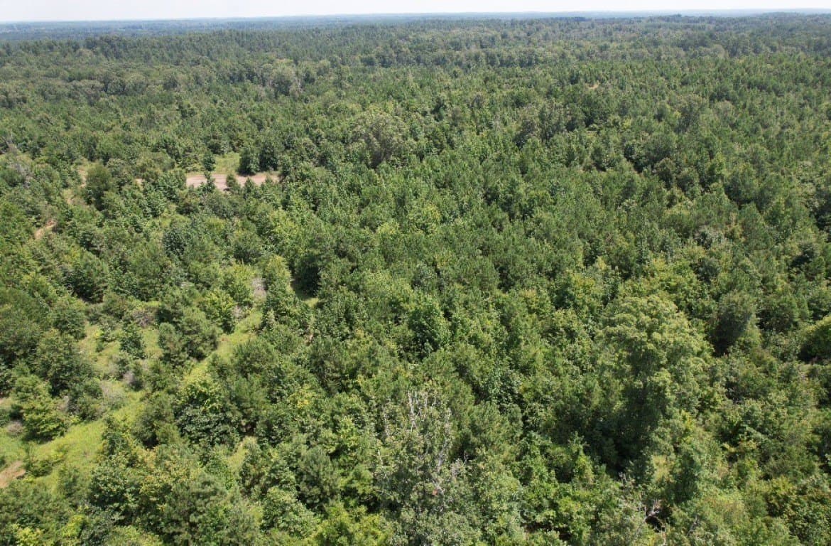 206 acres in Rusk County gallery image 4