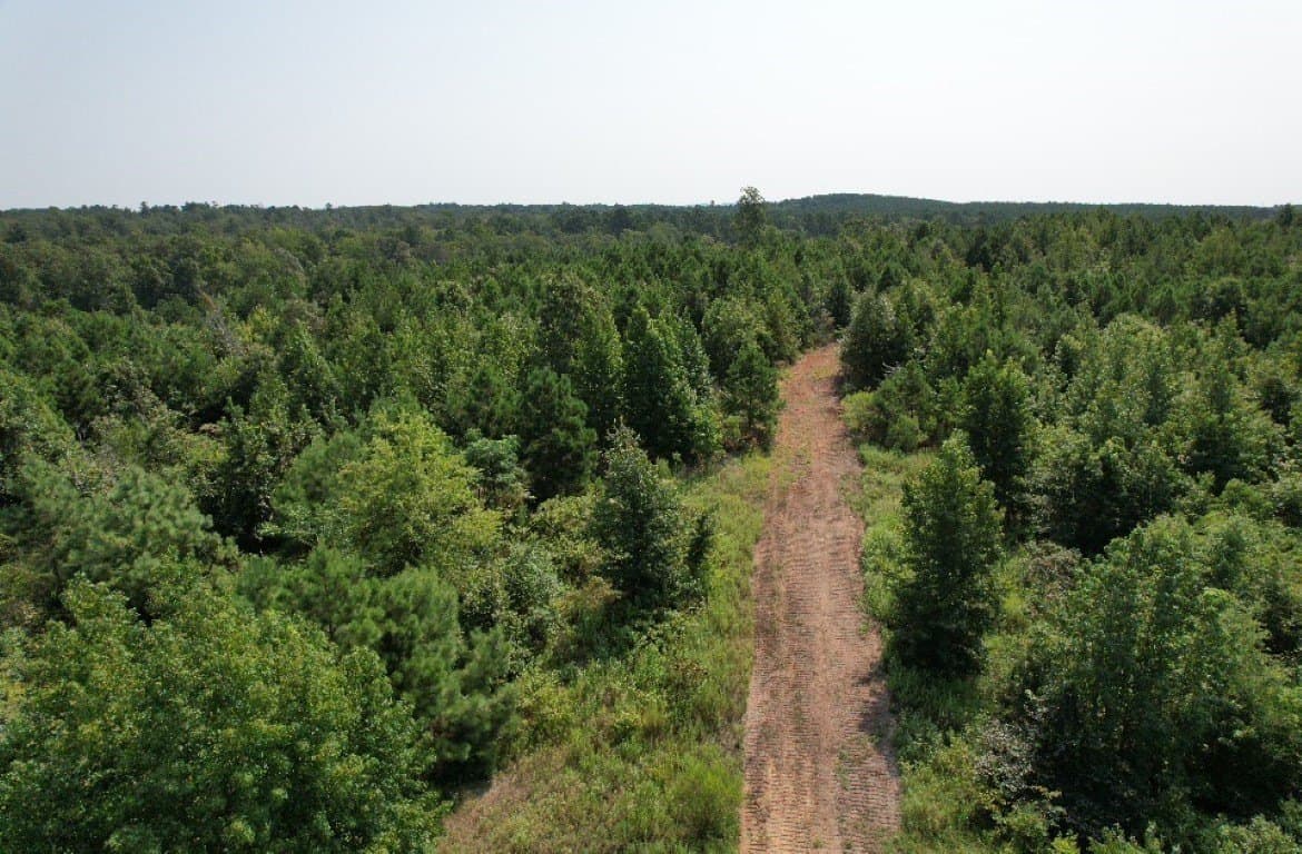 206 acres in Rusk County - photo 12