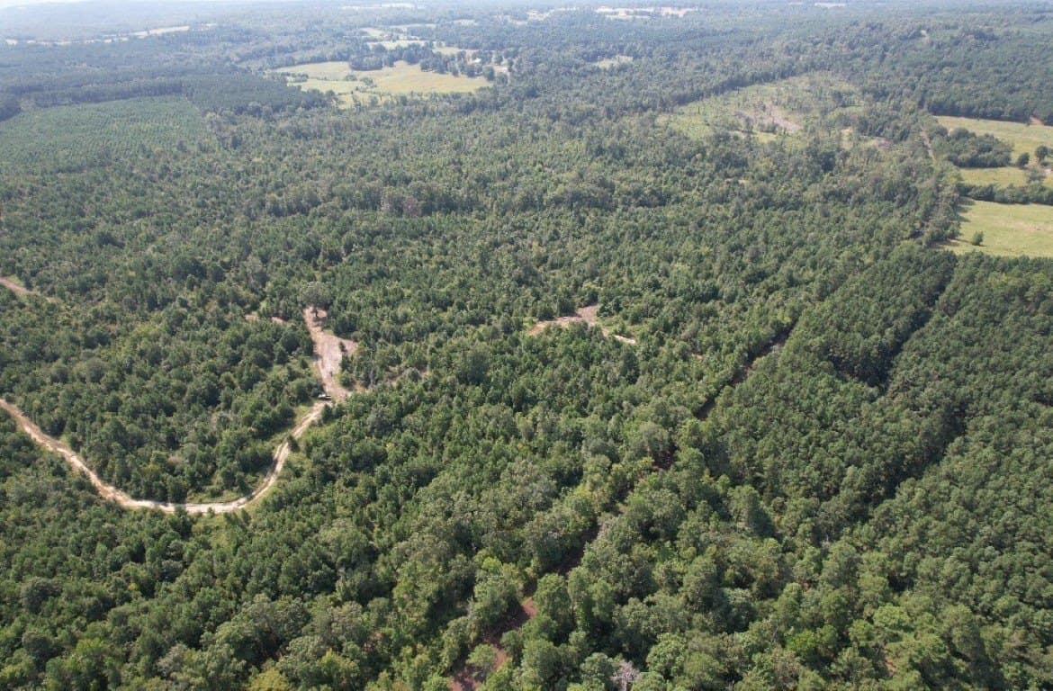 206 acres in Rusk County - photo 16