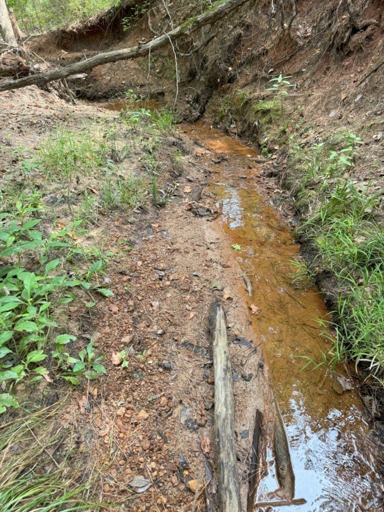 206 acres in Rusk County - photo 34