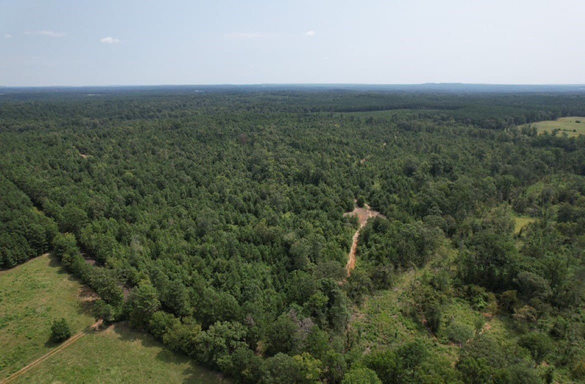 206 acres in Rusk County - photo 22