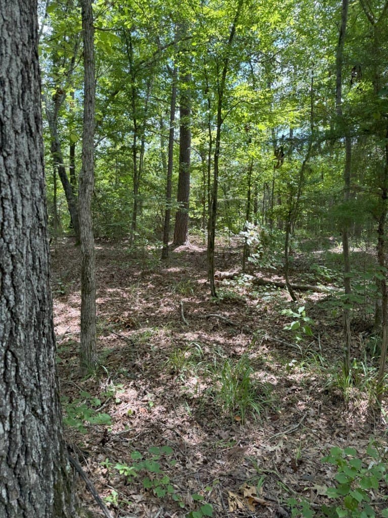 206 acres in Rusk County - photo 27