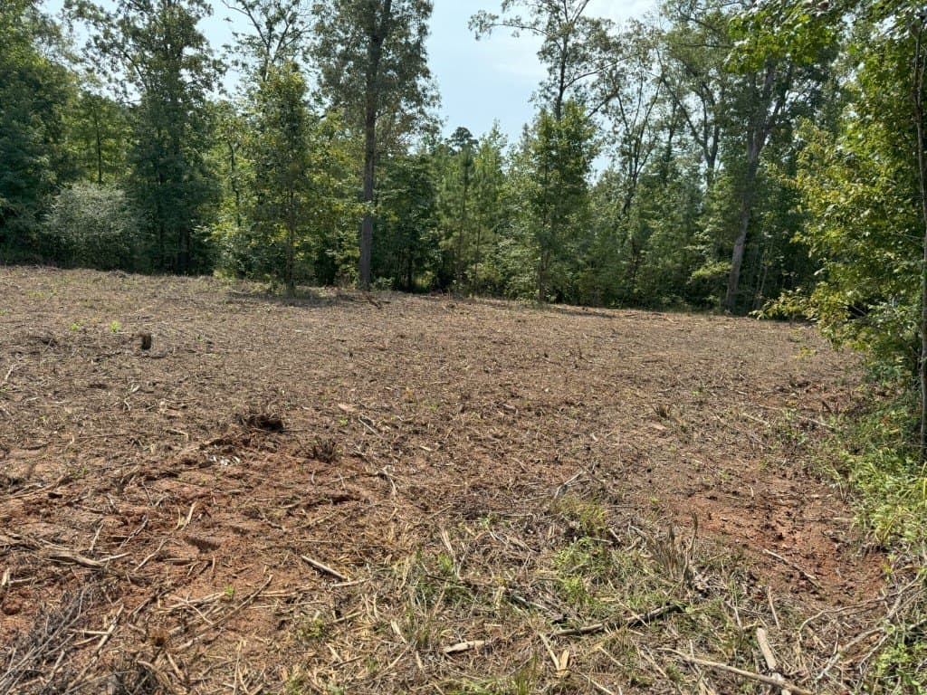 206 acres in Rusk County - photo 37