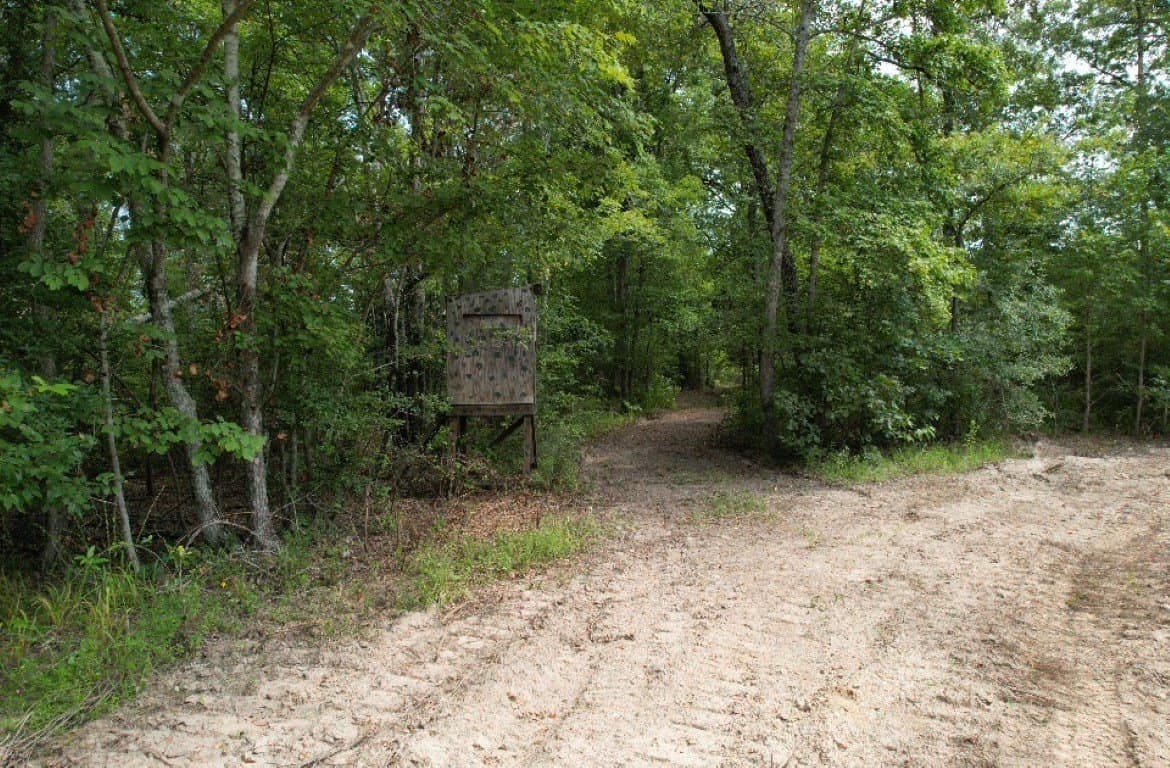 206 acres in Rusk County - photo 20