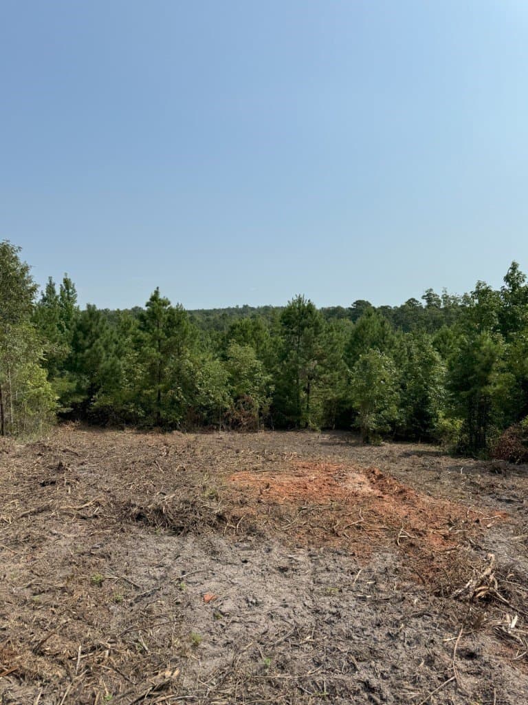 206 acres in Rusk County - photo 35