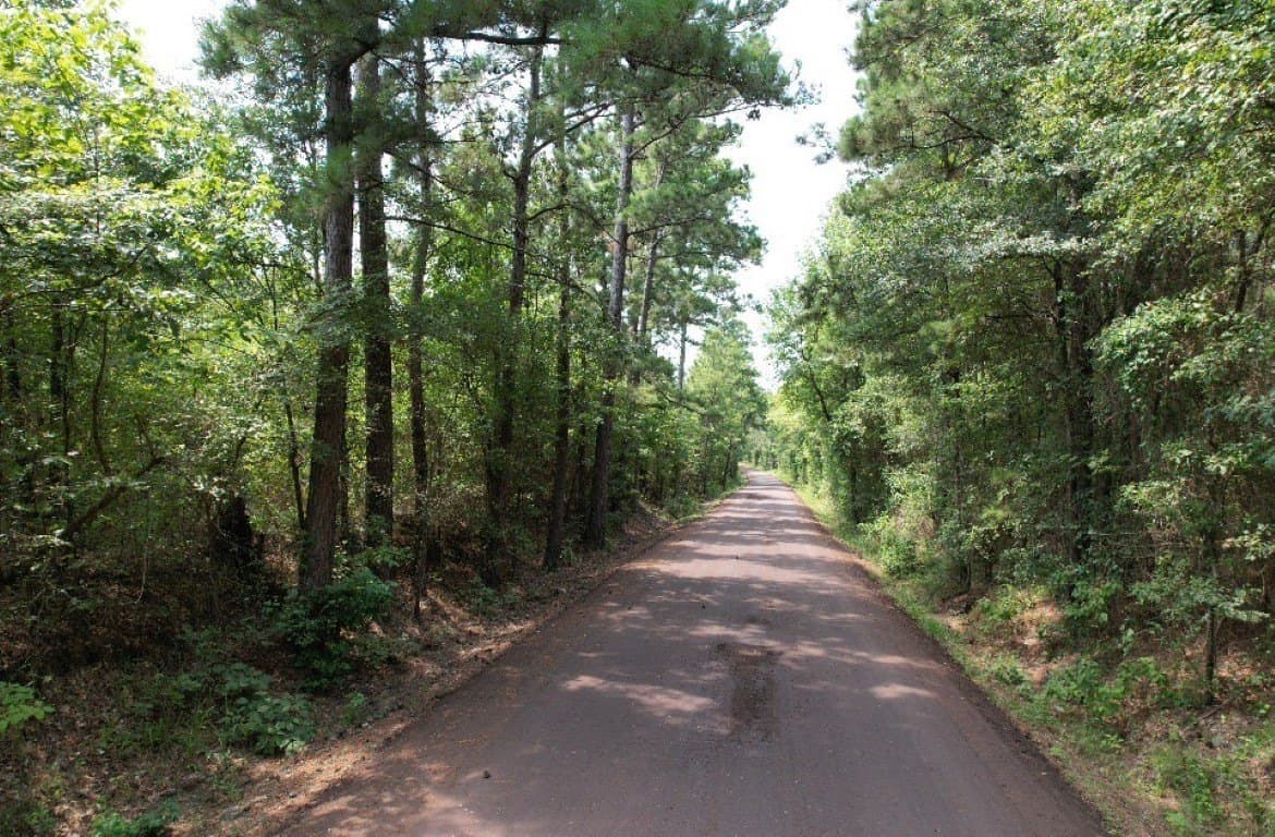 206 acres in Rusk County - photo 24