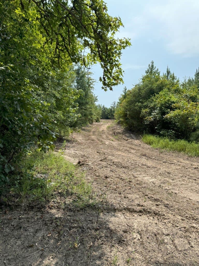 206 acres in Rusk County - photo 39