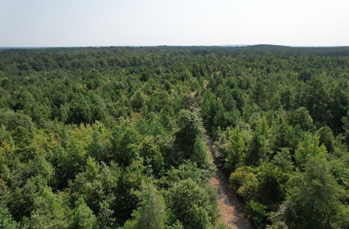 206 acres in Rusk County - photo 10
