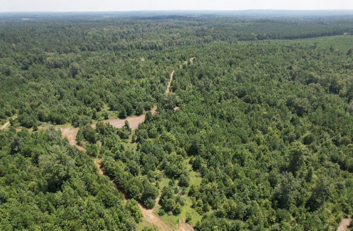 206 acres in Rusk County - photo 8