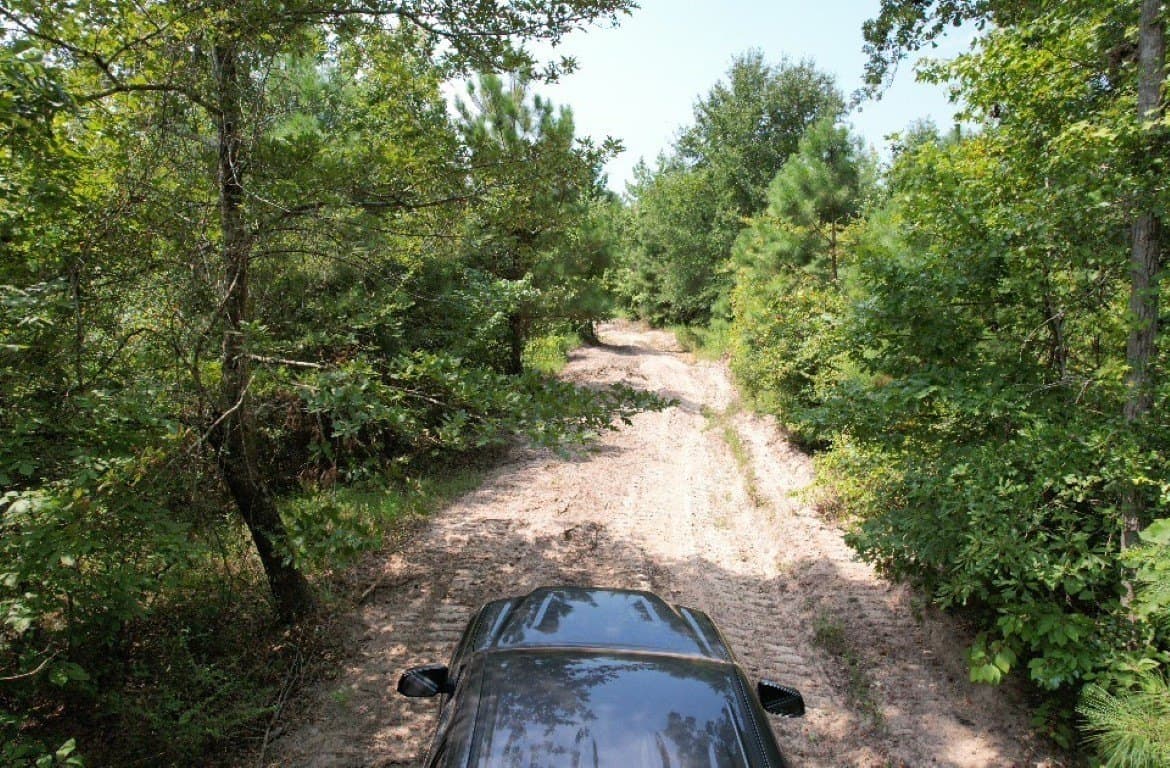 206 acres in Rusk County - photo 23