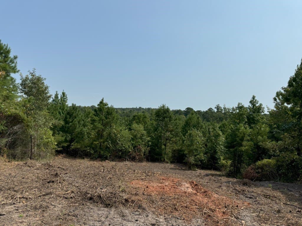 206 acres in Rusk County - photo 36