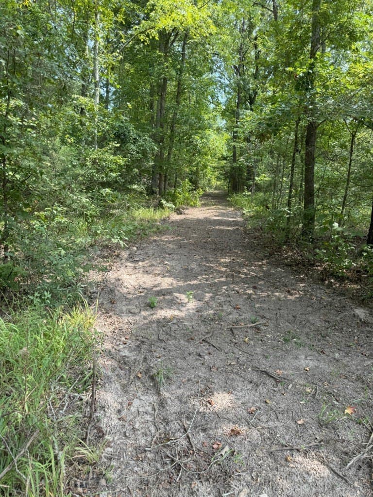 206 acres in Rusk County - photo 38
