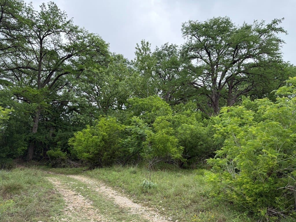 1.58 acres in Real County featured view