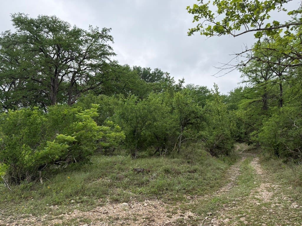 1.58 acres in Real County gallery image 4