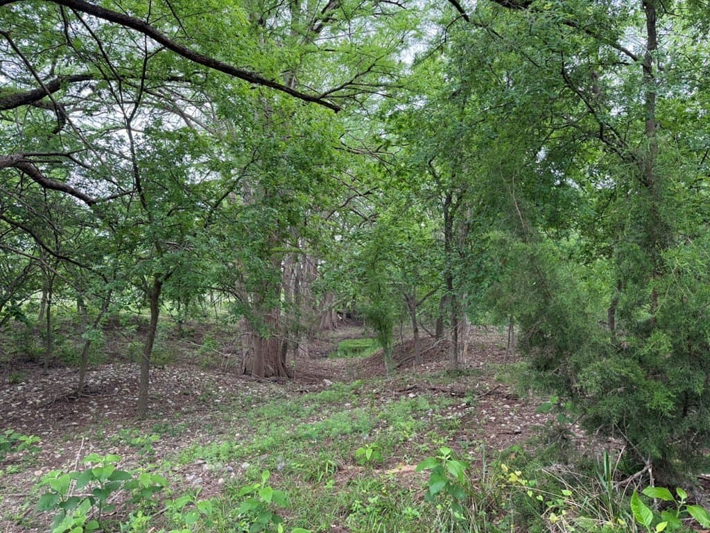 1.58 acres in Real County - photo 6