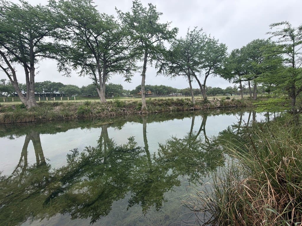 1.58 acres in Real County gallery image 2