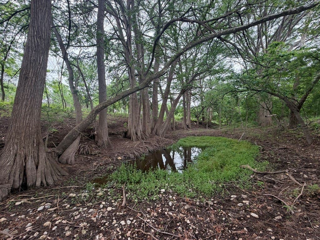 1.58 acres in Real County - photo 9