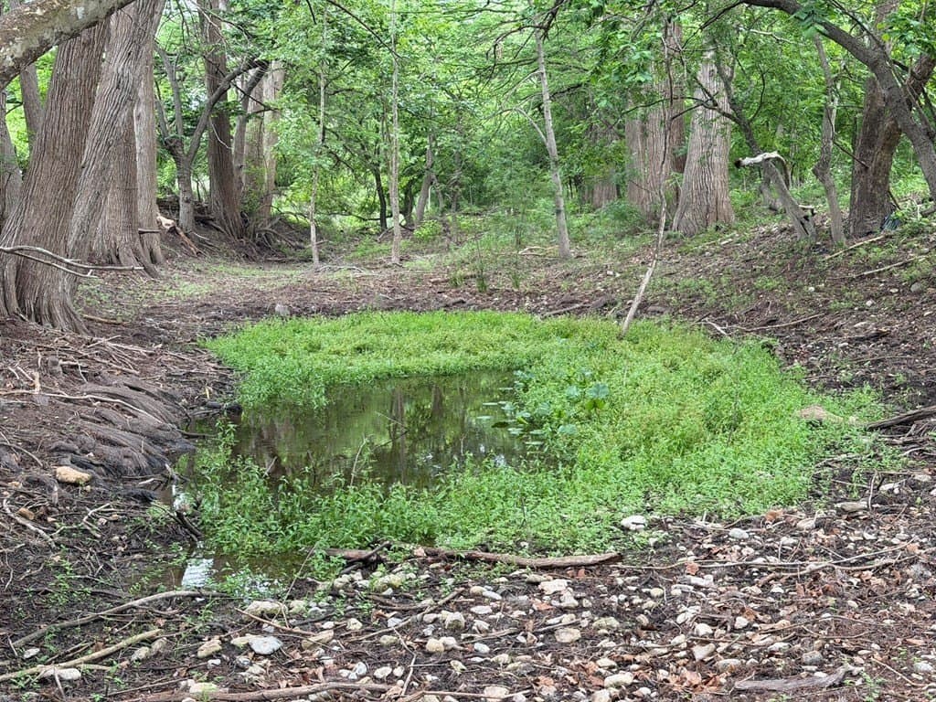 1.58 acres in Real County - photo 8